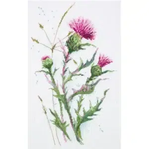 Panna C-1893 Thistle